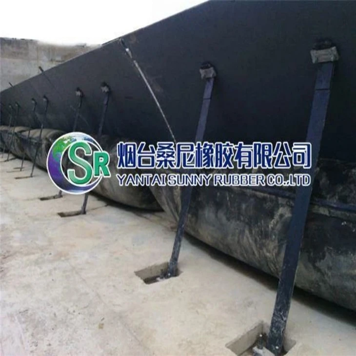 Cổng đỉnh hỗ trợ bàng quang khí