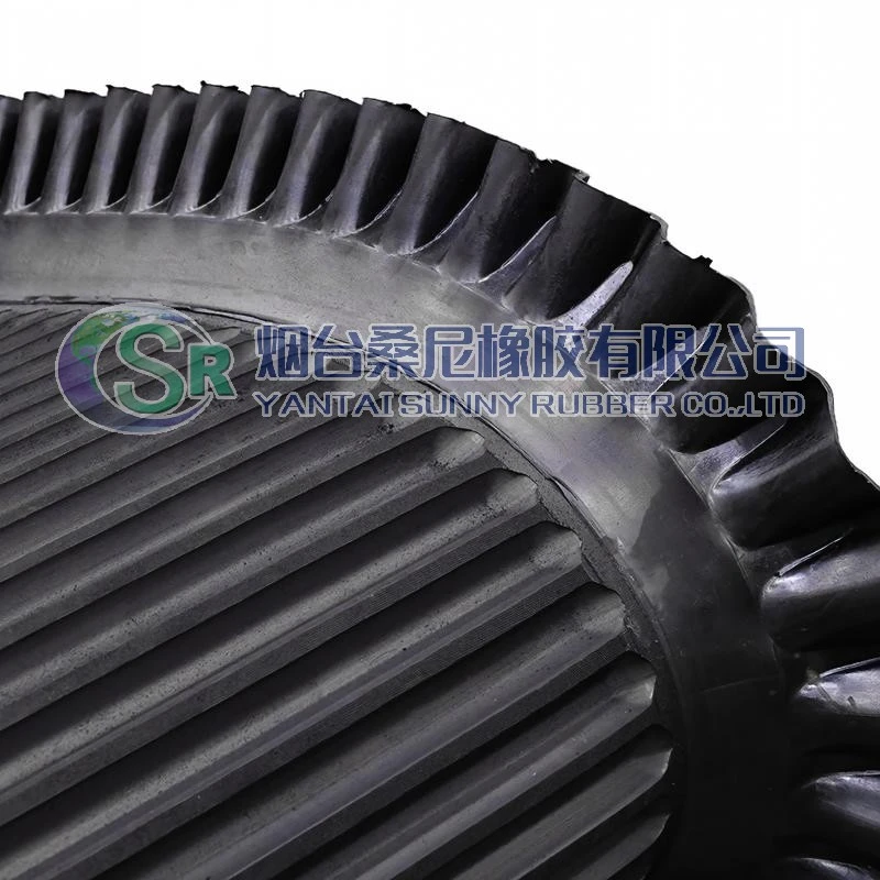 Đai lọc cao su kháng axit và kiềm có viền rắn-Băng tải tách chất lỏng dùng để xử lý nước thải